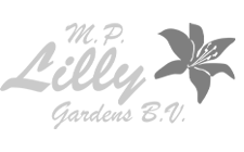 Mp Lilly Gardens