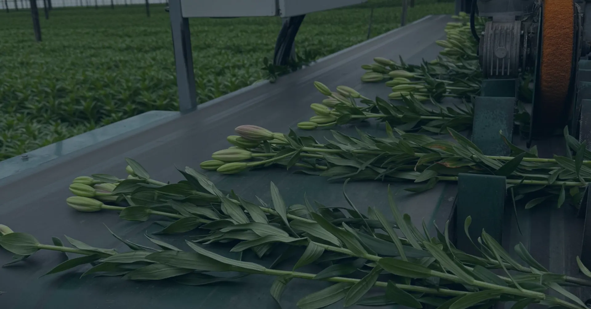 Meebewegen met uw productie. Flexibele Personeelsoplossingen