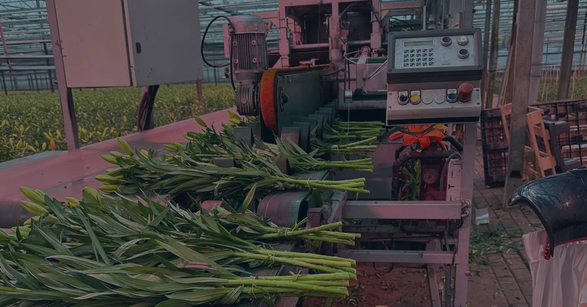 De juiste match voor uw team. Werving en Selectie op Maat